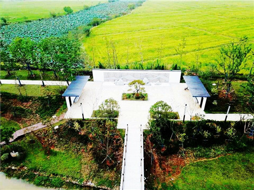 2019園冶杯專業(yè)獎(jiǎng)丨蘇滁現(xiàn)代產(chǎn)業(yè)園第二批綠化景觀工程