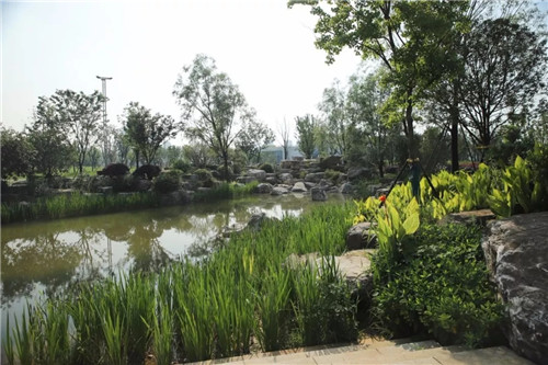 2019園冶杯專(zhuān)業(yè)獎(jiǎng)丨長(zhǎng)沙市望城區(qū)“一路一園”建設(shè)工程項(xiàng)目銀星灣公園