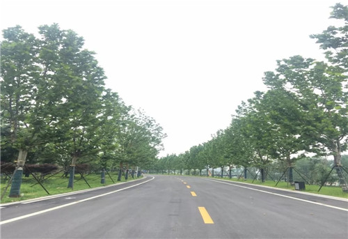 2019園冶杯專(zhuān)業(yè)獎(jiǎng)丨長(zhǎng)沙市望城區(qū)“一路一園”建設(shè)工程項(xiàng)目銀星灣公園