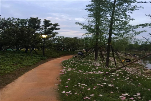 2019園冶杯專(zhuān)業(yè)獎(jiǎng)丨長(zhǎng)沙市望城區(qū)“一路一園”建設(shè)工程項(xiàng)目銀星灣公園