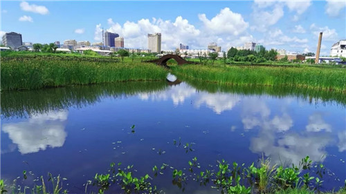 2019園冶杯專業(yè)獎丨樺南幸福濕地公園景觀設(shè)計