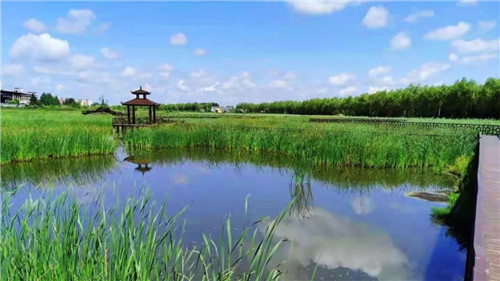 2019園冶杯專業(yè)獎丨樺南幸福濕地公園景觀設(shè)計