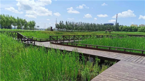 2019園冶杯專業(yè)獎丨樺南幸福濕地公園景觀設(shè)計