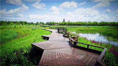 2019園冶杯專業(yè)獎丨樺南幸福濕地公園景觀設(shè)計