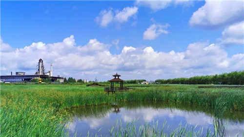 2019園冶杯專業(yè)獎丨樺南幸福濕地公園景觀設(shè)計