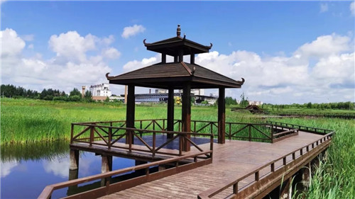 2019園冶杯專業(yè)獎丨樺南幸福濕地公園景觀設(shè)計