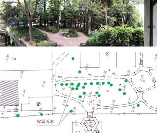 2019園冶杯專業(yè)獎丨上海華東師范大學麗娃河畔化雨書齋改造設計
