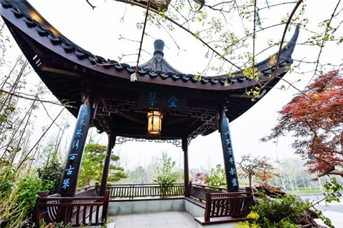 浙里故事｜深化設(shè)計(jì)，助力展園走上精品之路