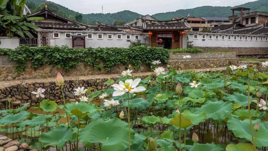 2019園冶杯專業(yè)獎(jiǎng)丨半山村美麗鄉(xiāng)村規(guī)劃