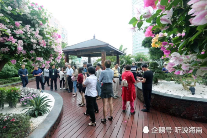 2019第七屆世界生態(tài)城市與屋頂綠化大會在海口成功召開