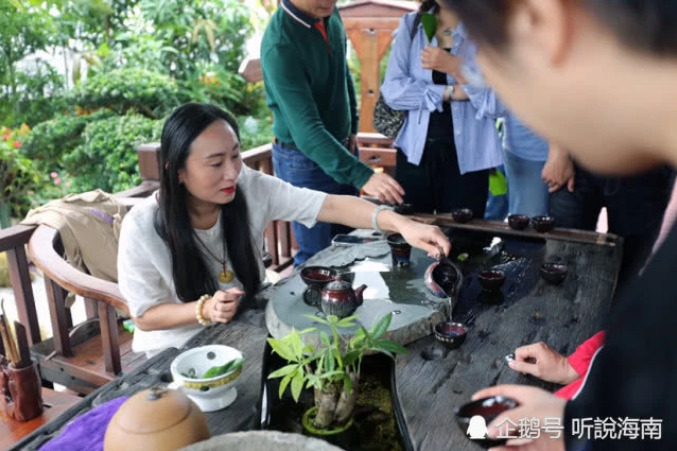 2019第七屆世界生態(tài)城市與屋頂綠化大會在海口成功召開