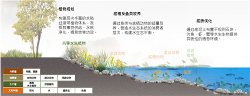 園冶杯專業(yè)獎(jiǎng)|北京市麗澤金融區(qū)河流綜合整治方案