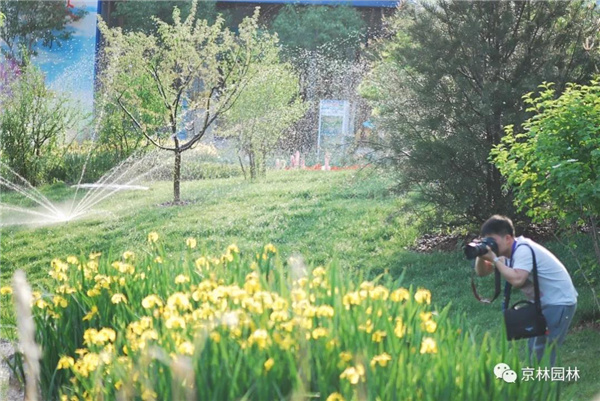京林生態(tài)花園2021年（第三屆）春季花展即將盛大開幕