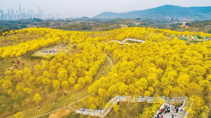 南寧積極探索“公園＋”模式構建生態美麗宜居綠城