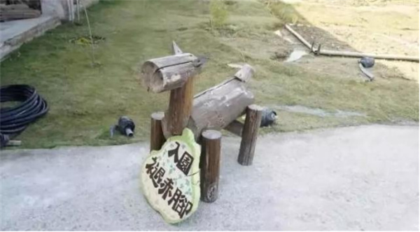 臺南市土溝村：藝術介入社區營造，探索現代農村生活模式