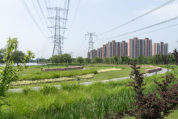 慢行系統——城市的毛細血管如何設計？