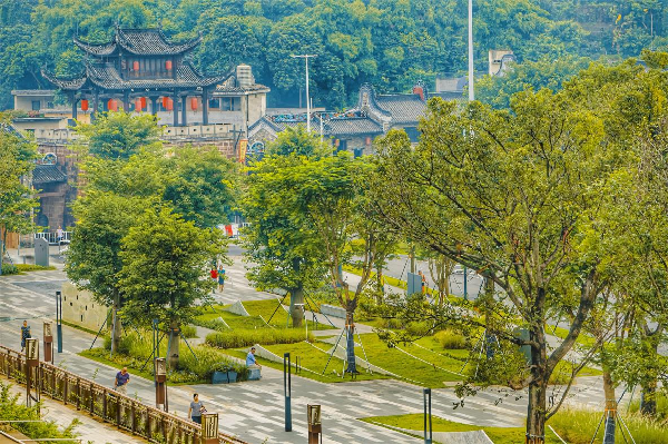 慢行系統——城市的毛細血管如何設計？