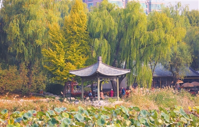 北京市推動花園城市建設，5個區(qū)開展試點工作