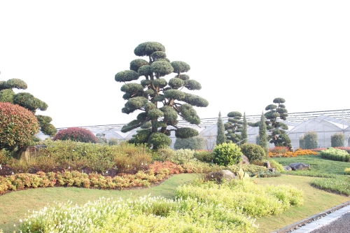 精彩圖集_游記攻略_風(fēng)景旅游