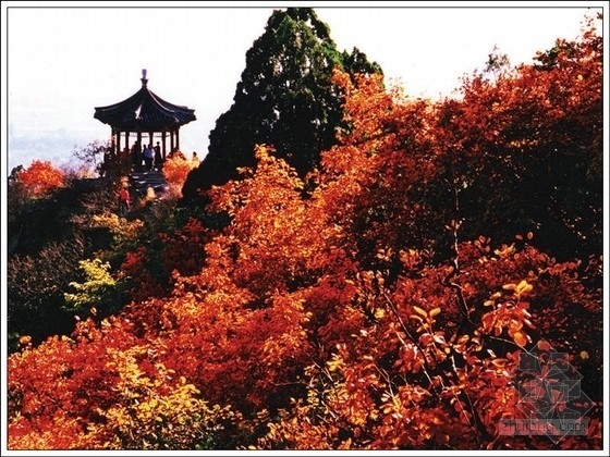 金秋中國(guó)十大賞紅葉的好去處