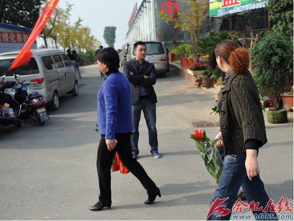 不少市民慕名來到苗交會現(xiàn)場購買自己喜愛的花草
