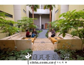 杰弗里·米勒：太平洋坎納公寓景觀設計