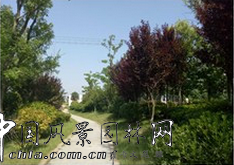 華藝園林喜獲2015年城鎮(zhèn)園林綠化精品示范工程