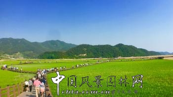 中國風景園林網(wǎng)