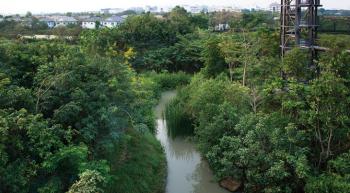 中國(guó)風(fēng)景園林網(wǎng)