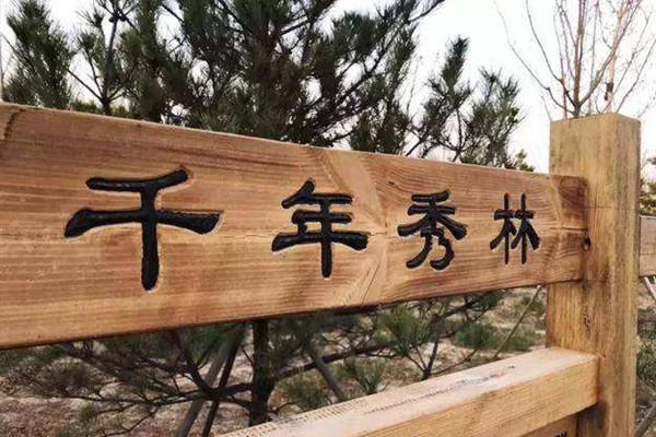 雄安千年秀林今年增綠10萬(wàn)畝 起步區(qū)建綠谷景觀