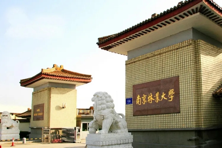 南京林業(yè)大學(xué)設(shè)計(jì)人才成跨界多面手