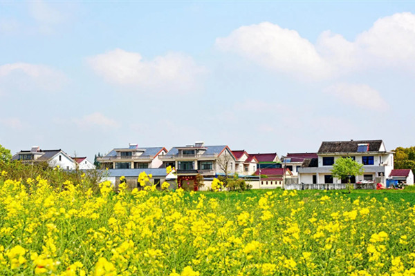 南京林業(yè)大學(xué)舉辦美麗鄉(xiāng)村規(guī)劃與建設(shè)學(xué)術(shù)研討會(huì)
