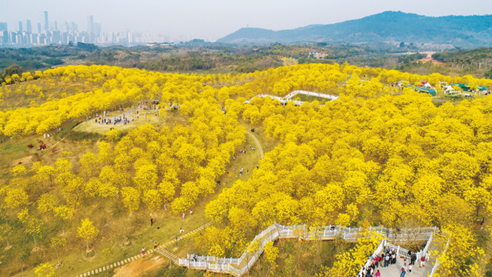 南寧積極探索“公園＋”模式構(gòu)建生態(tài)美麗宜居綠城
