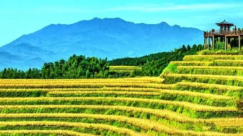 休閑農業如何深挖鄉村特色？