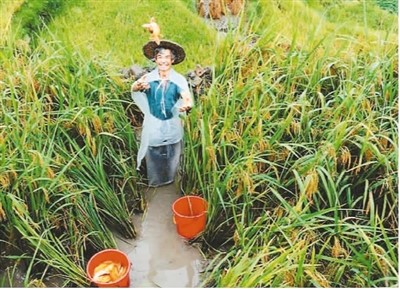 保護和推廣農業遺產在哪些方面獲得成功？