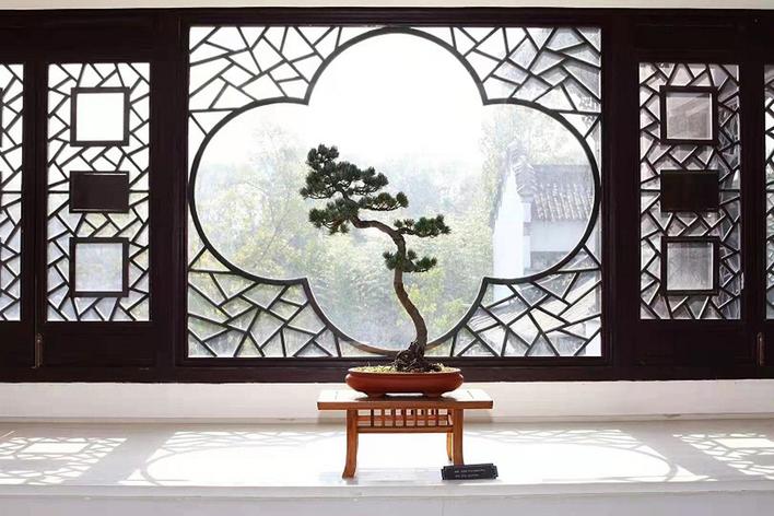 數(shù)十長(zhǎng)三角知名景區(qū)聚首揚(yáng)州共話園林盆景藝術(shù)