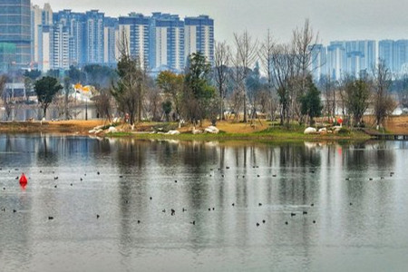 成都不斷探索公園城市建設(shè)實(shí)踐路徑