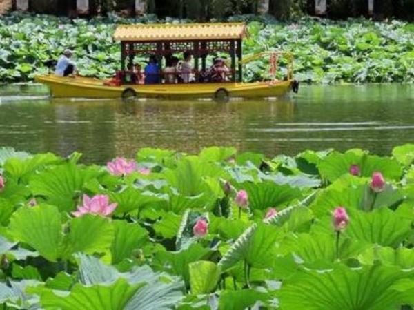 北京：超九成市民將享受“出門(mén)見(jiàn)綠”