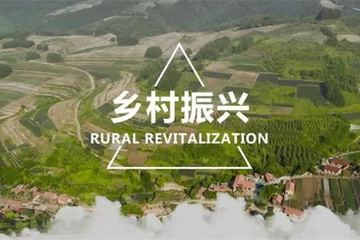 代表委員熱議兩會：有力有效，推進鄉村全面振興