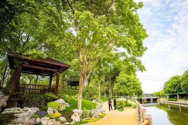 江蘇三年累計(jì)完成410處“樂(lè)享園林”建設(shè)